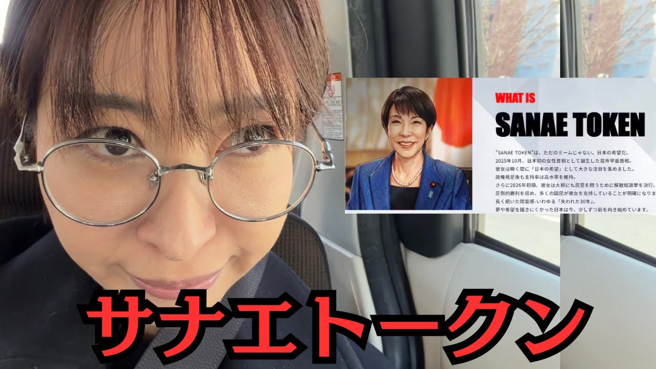 【NoBorder】 サナエトークンとステーブルコインについて私の意見を話します【ミームコイン仮想通貨】