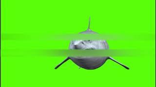 MEGALODON GREEN SCREEN SHARK EFFECTS 3D ANIMATION HD - MAGIC STUDIO