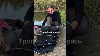 Трофейный карась на Кубани #рыбалка #рыбалканаозере #рыбалкакраснодарскийкрай #поплавочнаяудочка