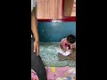 ح حرامي ح حرامي