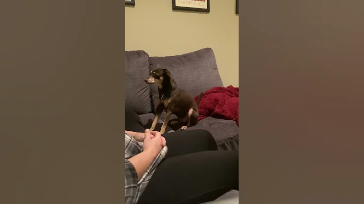 What do you want?