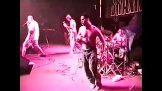 Bolder Brain - Check Yourself