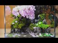 Making a Cherry Blossom Aquaterrarium