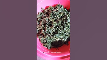 Thumbnail of Resep sayur daun singkong...