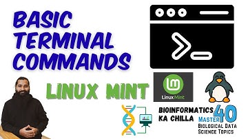 Basic Linux Commands in Linux Mint Terminal (Part-1)