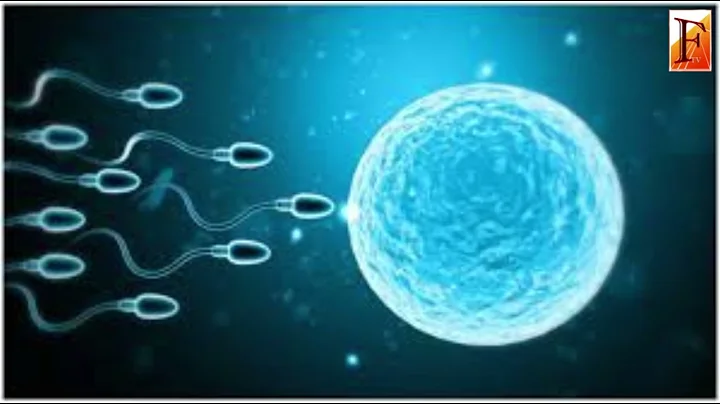 Sperm donor with rare genetic mutation fathered 67 children  Ten now have cancer, prompting calls