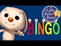 Bingo | Part 2 | Nursery Rhymes by LittleBabyBum