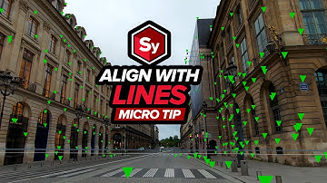 Aligning your scene with lines in SynthEyes [Boris FX]