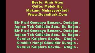 500 - T.s.m Karaoke - Bir Kızıl Goncaya Benzer Dudağın - Sinan Özen