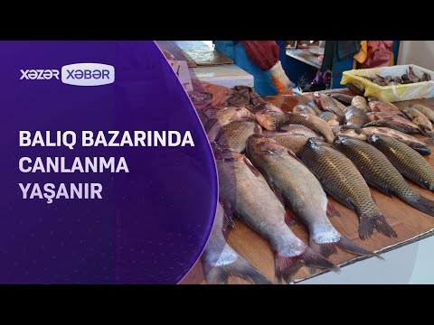 Balıq bazarında canlanma var - qiymətlər də ucuzdur