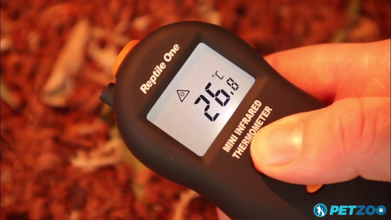How To Use an Infrared Handheld Thermometer to Check Temperature in your  Reptile Enclosure 