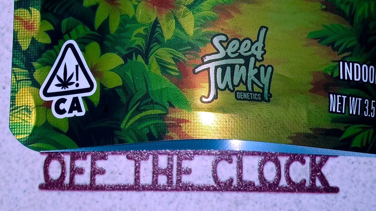 Banana Fruz - Seed Junky