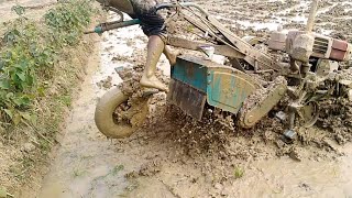 power tiller in low land for cultivation part 37