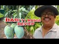 Bari 11 mango review and visitors gallery