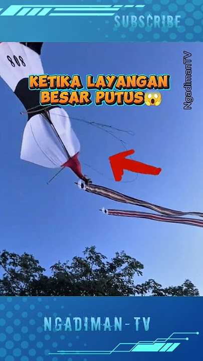 KETIKA LAYANGAN JANGGAN BESAR PUTUS DAN JATUH #shortsvideo #trending #viralvideo #layangan