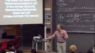 Lec 22 | MIT 7.014 Introductory Biology, Spring 2005