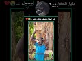 #ساعدوا_اهل_السودان #blackpink #ستايلزي #اكسبلور #bts #kpop #kpopskz #twice#explorepage
