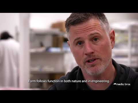 Media Bros — Filter Media & Inline Color Remediation