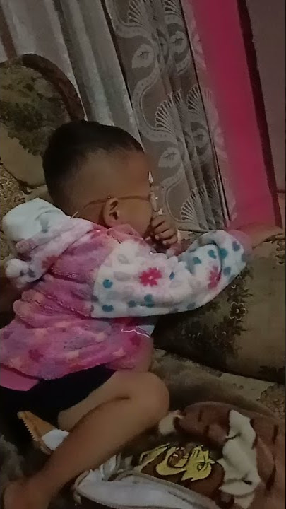 budak ceurik