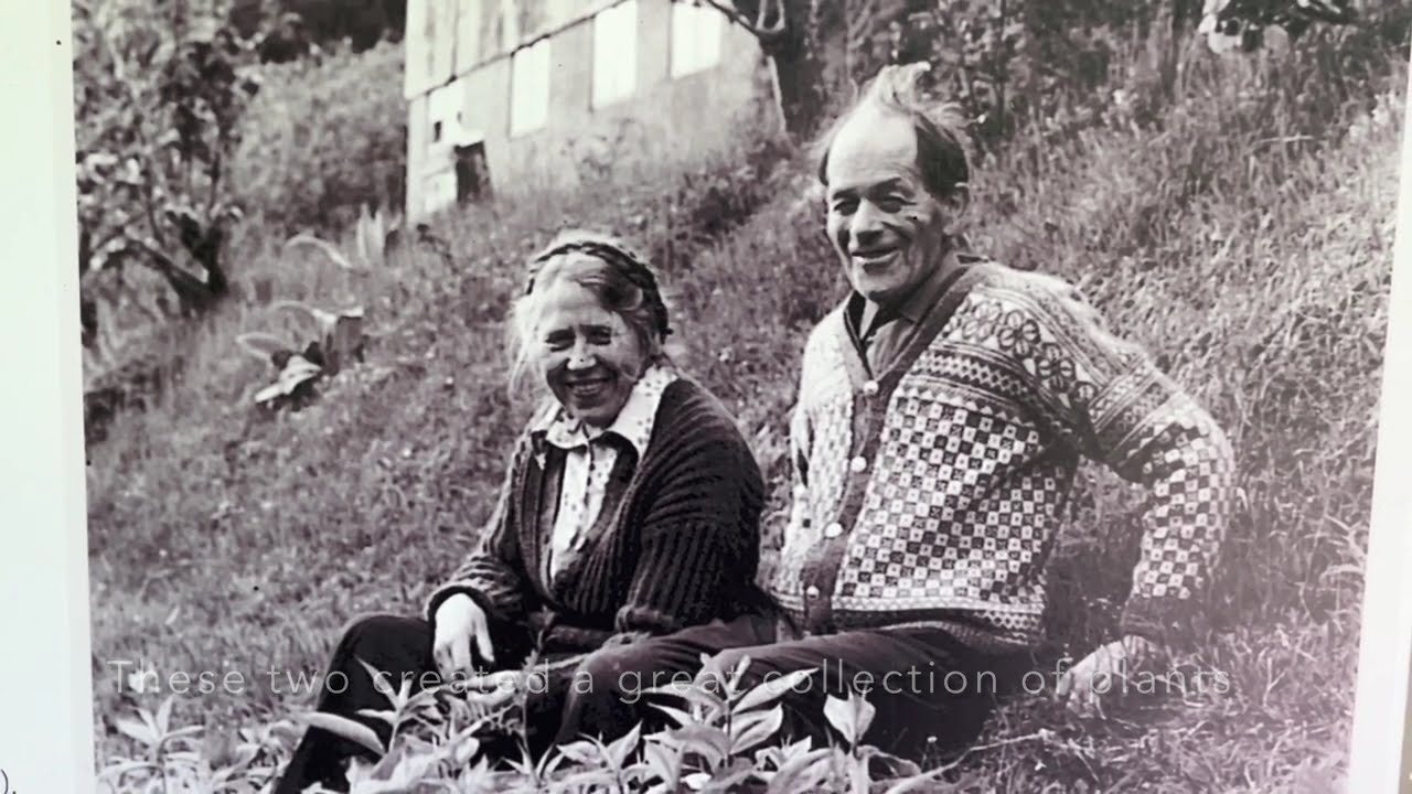 My inspiring neighbourhood, Svinviks arboret