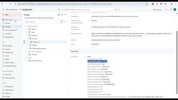 Databricks Liquid Clustering and Deletion Vectors