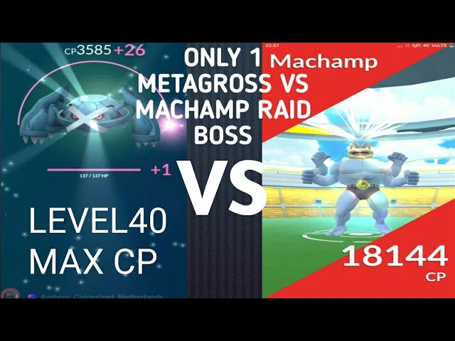 metagross raid boss