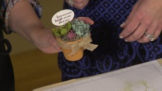 Today With Kandace - Crafts with Amy Storrie - Succulent Garden Flower Pots by Today With Kandace 864 views 7 years ago 3 minutes, 8 seconds