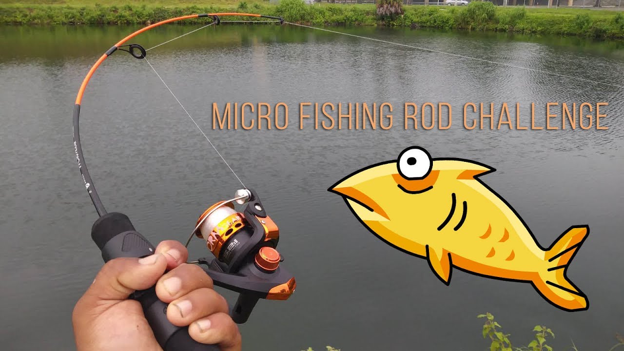 Micro Fishing Rod Challenge! 