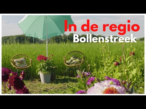 Bollenstreek - In de regio | Uit in Amsterdam