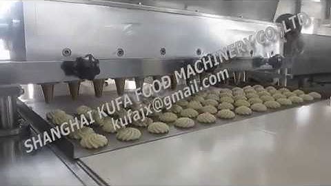 KF800 Cookies DepositorPLC Controlled