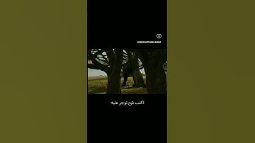 ماتيسر من قران الكريم سورة بقره لتلاوه عذبه من الشيخ عبدالباسط عبد الصمد