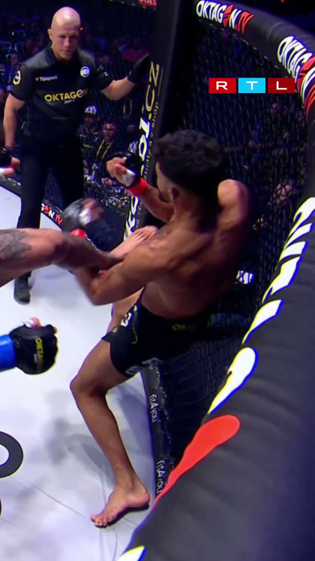 Was eine Kombination ?#rtlmma #mma #highkick #oktagon #rtlsport #brito #ko