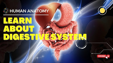Digestive System | Human Anatomy | Medical Coding #medicalcoding #medicalcodinginterview #anatomy