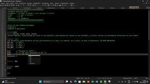 Explicacion funciones Libreria Estandar de C en assembly de la manera mas rancia posible