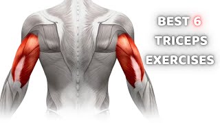 6 Best Exercises To Get Big Triceps Workout