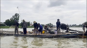 Mưu sinh lưới chụp 3 mang trên kênh Xáng - Sông Nước Cửu Long - Nguyễn Hùng