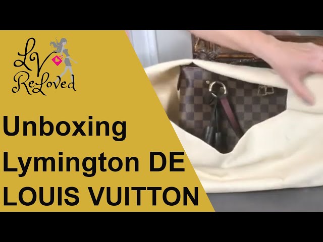 Louis Vuitton Damier Ebene Speedy 30 - Meme's Treasures
