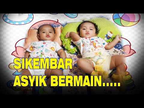 Video: Apakah Kembar Identik Memiliki Sidik Jari Yang Sama?