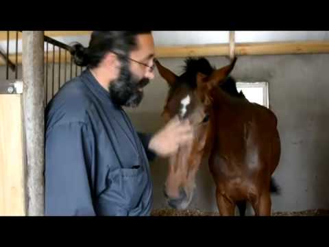 საცხენოსნო კლუბი \"ხარება\"