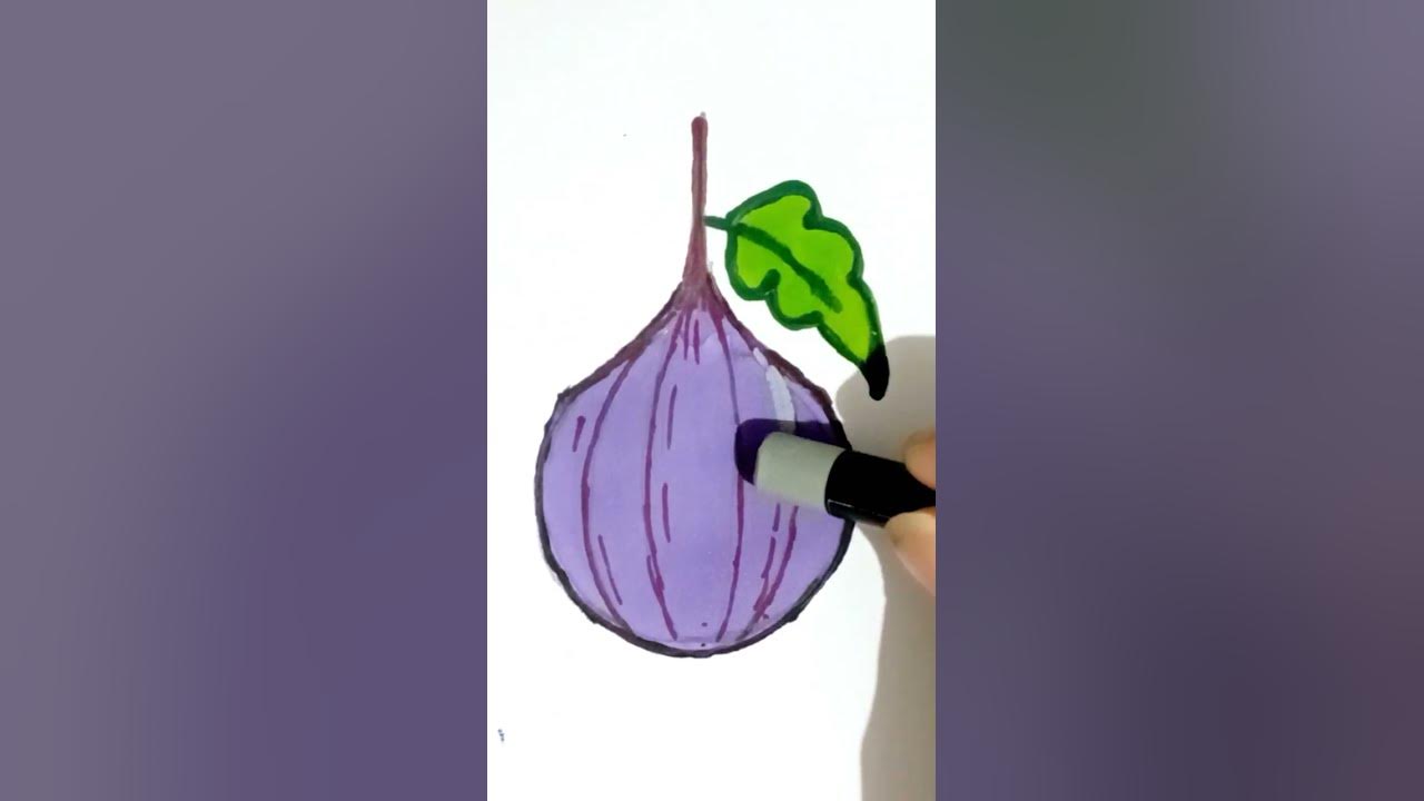 how to Draw a Fig easy|step by step|Fig fruit - YouTube