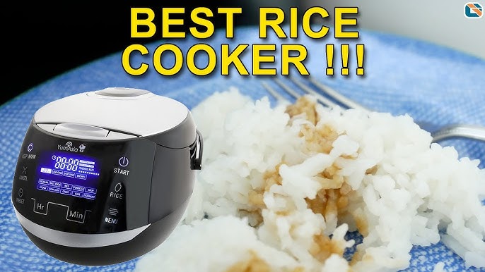 Yum Asia Panda mini advanced Fuzzy Logic ceramic rice cooker - Review