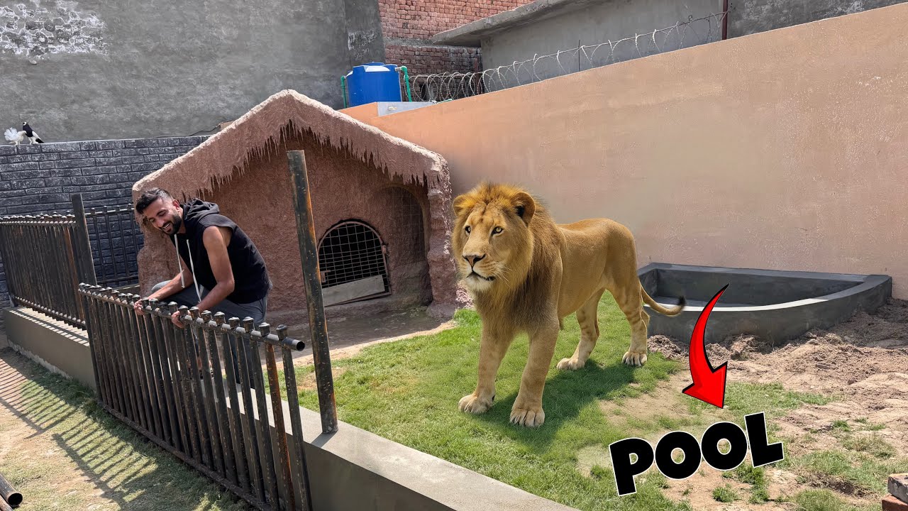 Liger K Ghr Main Pool Bhi Bnwa Liya😍Ab Aiy Ga Na Mza❤️