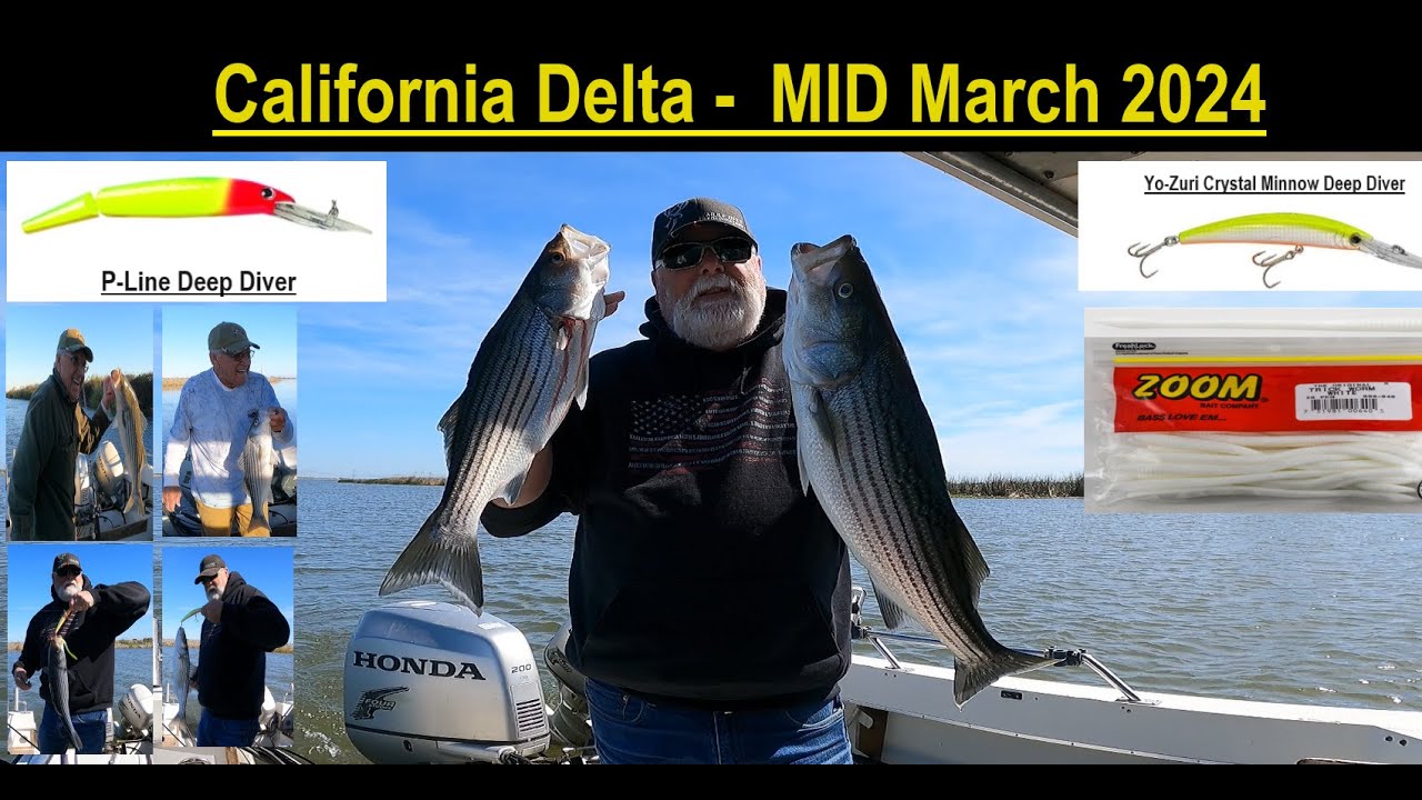 Rio Vista - California Delta Striper Fishing - March 2024 
