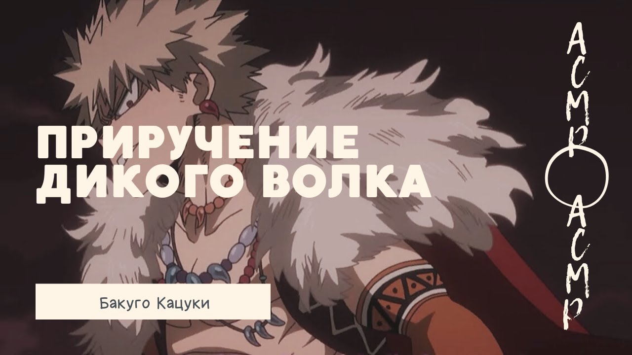 асмр：приручение дикого волка Бакуго
