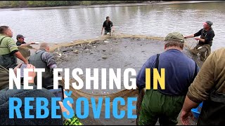 NET FISHING IN REBEŠOVICE - VÝLOV RYBNÍKU V REBEŠOVICÍCH