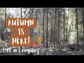 VLOG 58 | Its Autumn in Germany!! BEAUTIFUL and RELAXING forest nature hikes to start the season!