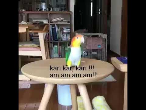 mini etek siyah çorap kombinleri
