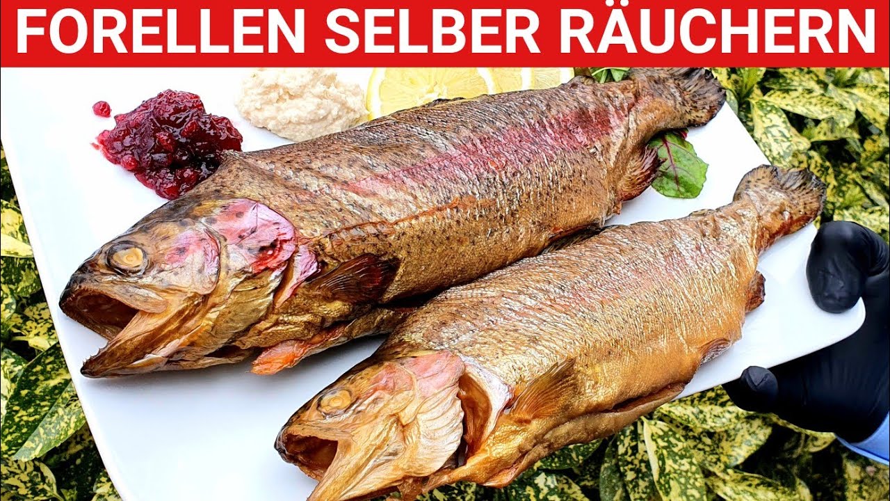 🔥 GRILLBLITZ: Forellen selber räuchern Fisch heißräuchern Lachsforelle Anleitung Räucherofen heiss