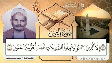 #سورة_التين بصوت الشيخ المقرئ محمد حسين عامر، عطر رمضان المتجدد في اليمن#تشويقة_رمضان #قرآن