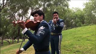 Video thumbnail of "Madrecita Querida - Mariachi Reyes De San Luis"